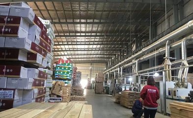 壹佰分地板淺談智能制造之路,聚力品質提升